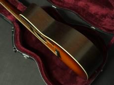Waterloo WL-14XTR Sunburst_10