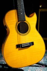 アコースティックギター/エレアコ、カッタウェイ、ナチュラル/木目系