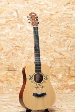 Taylor TSBT Taylor Swift Baby Taylor_3