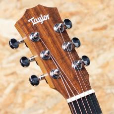 Taylor TSBT Taylor Swift Baby Taylor_4