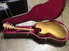 Gibson 1955 ES-295 All Gold_3