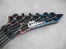 Washburn USA EC-29_6