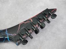Washburn USA EC-29_8