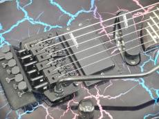 Washburn USA EC-29_10