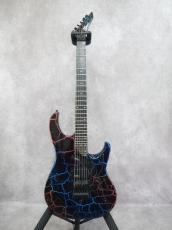 Washburn USA EC-29_11