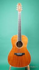 Takamine DMP-400 N "Abalone Trim" PU標準装備(CT4-DX)_2