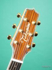 Takamine DMP-400 N "Abalone Trim" PU標準装備(CT4-DX)_3