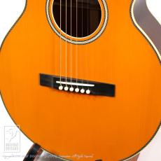 Switch SL-3 Bee (Antique Orange)_12