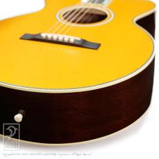 Switch SL-3 Bee (Antique Orange)_14