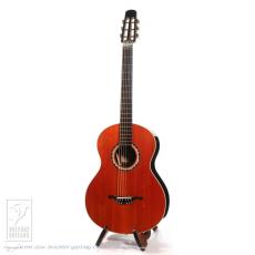 Steve Klein 365 "Joe Walsh" parlor_2