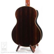 Steve Klein 365 "Joe Walsh" parlor_4