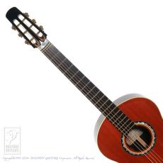 Steve Klein 365 "Joe Walsh" parlor_9