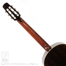 Steve Klein 365 "Joe Walsh" parlor_10