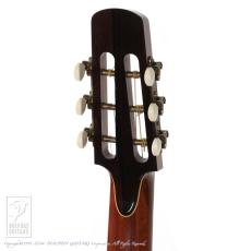 Steve Klein 365 "Joe Walsh" parlor_12