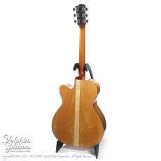 M.Shiozaki Model F Custom Metasequoia_5