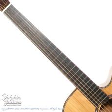 M.Shiozaki Model F Custom Metasequoia_8