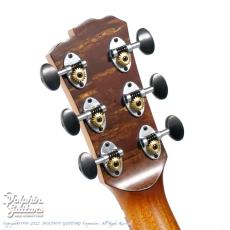 M.Shiozaki Model F Custom Metasequoia_11