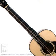 Santa Cruz H Model Koa _5