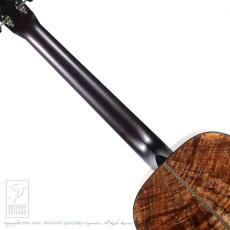 Santa Cruz H Model Koa _6