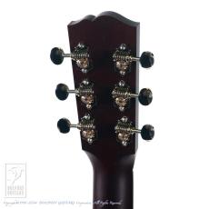 Santa Cruz H Model Koa _8