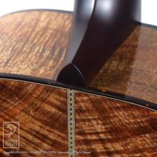 Santa Cruz H Model Koa _10