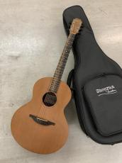 Lowden Sheeran by Lowden S-01  Ed Sheeran/George Lowden!