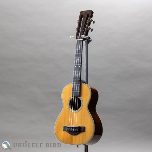 Martin T-28 Conversion Tenor 1974