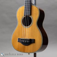 Martin T-28 Conversion Tenor 1974_2