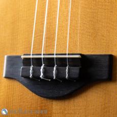 Martin T-28 Conversion Tenor 1974_3