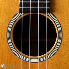 Martin T-28 Conversion Tenor 1974_4