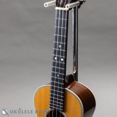 Martin T-28 Conversion Tenor 1974_5