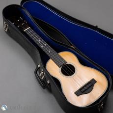 Martin T-28 Conversion Tenor 1974_14
