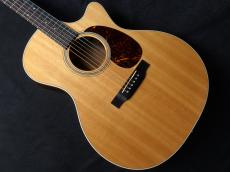 Martin GPC-16E-01 Rosewood 2019_3