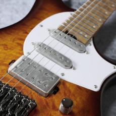 Ibanez Q54WQM 「DEL:Dragon Eye Burst Low Gloss 」SPOTモデル_3