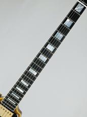 Gibson ~Japan Limited Run~ Flying V Custom w/ Ebony Fingerboard All Double Gold Gloss #CS503681_9