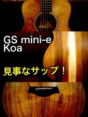 Taylor GS Mini-e Koa S/N 2205215166【ハワイアンコア】【バックに見事なサップ】