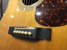 Martin 2001 D-45_3