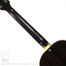 KING SNAKE Rockin' Chair w / P.U. Poison Burst_6