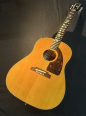 Epiphone 【USED】 Paul McCartney Texan FT-79 【2005年製】 _2