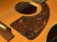 Epiphone 【USED】 Paul McCartney Texan FT-79 【2005年製】 _7