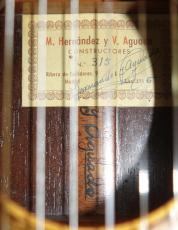 エルナンデス・イ・アグアド No.315_9