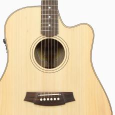 Cole Clark CCFL2EC-BMR-ANI 20周年記念モデル *2023_5