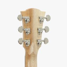 Cole Clark CCFL2EC-BMR-ANI 20周年記念モデル *2023_8