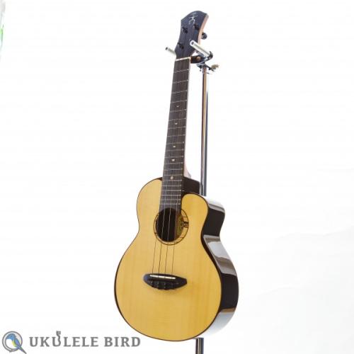 aNueNue aNN-UT200 