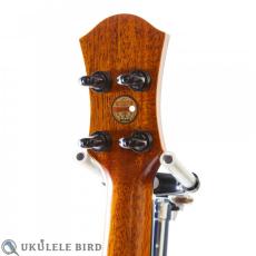 aNueNue aNN-UT200 _7