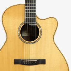 Albert & Mueller S-3 German Spruce Top *2007_5