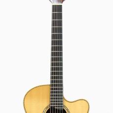 Albert & Mueller S-3 German Spruce Top *2007_6
