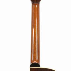 Albert & Mueller S-3 German Spruce Top *2007_9