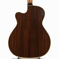 Albert & Mueller S-3 German Spruce Top *2007_10