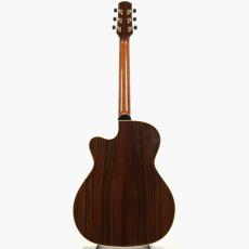 Albert & Mueller S-3 German Spruce Top *2007_11